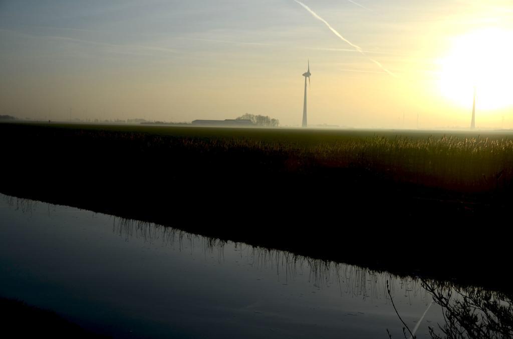 Am Alten Hafen Neuharlingersiel Exteriör bild